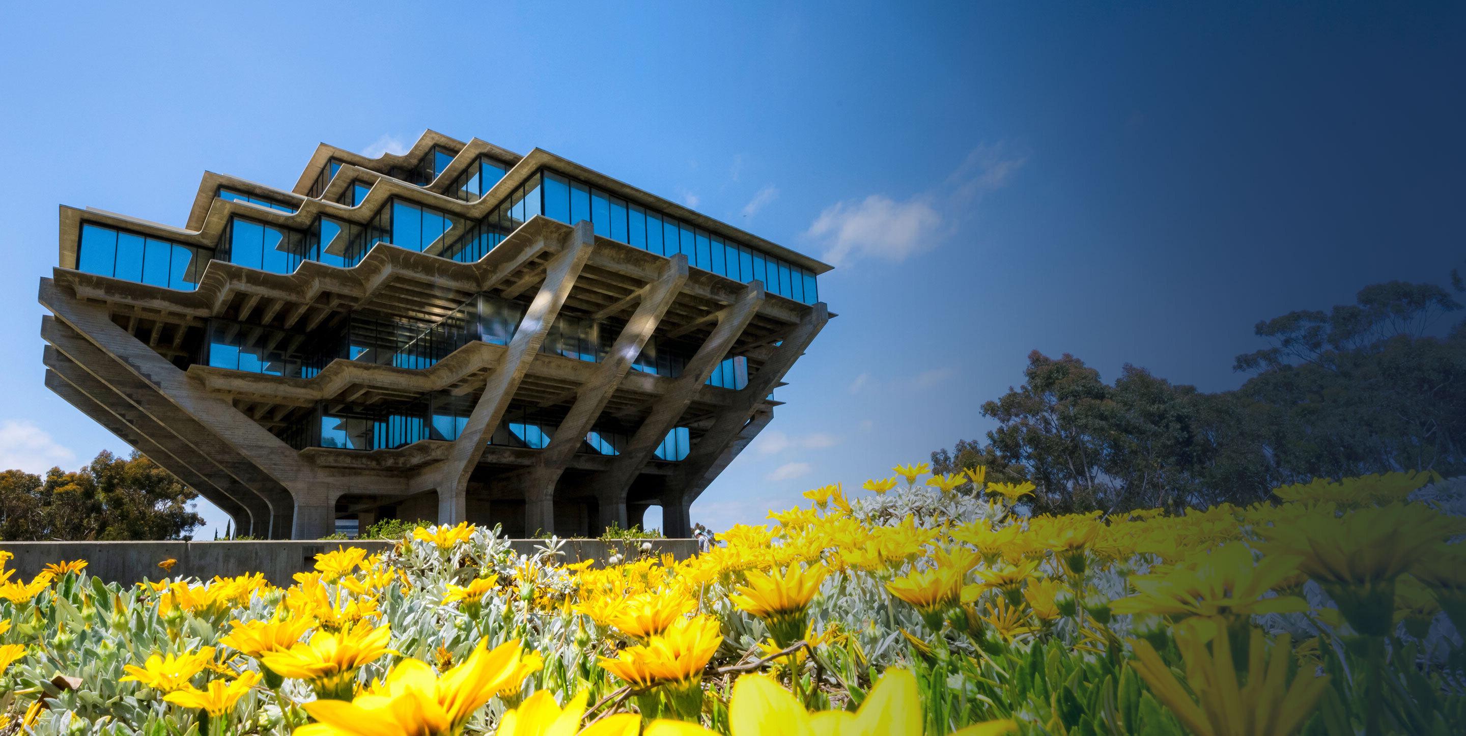 Exterior shot of Geisel Library with yellow flowers in foreground